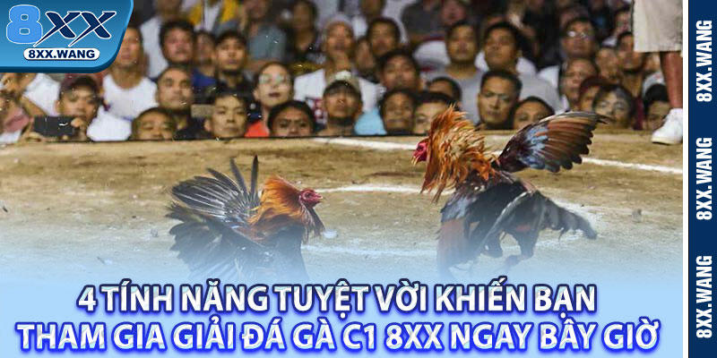 4 tính năng tuyệt vời khiến bạn tham gia giải Đá Gà C1 8XX ngay bây giờ 