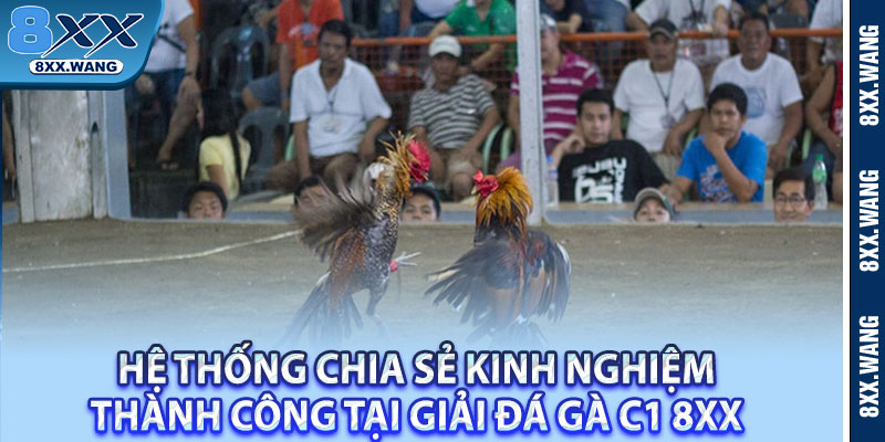Hệ thống chia sẻ kinh nghiệm thành công tại giải đá gà C1 8XX 