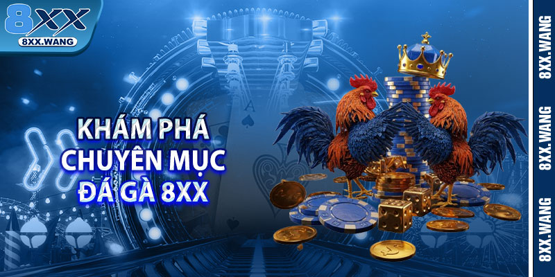 Khám phá chuyên mục đá gà 8xx 