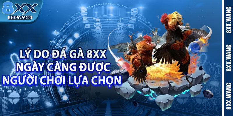 Lý do đá gà 8xx ngày càng được người chơi lựa chọn 