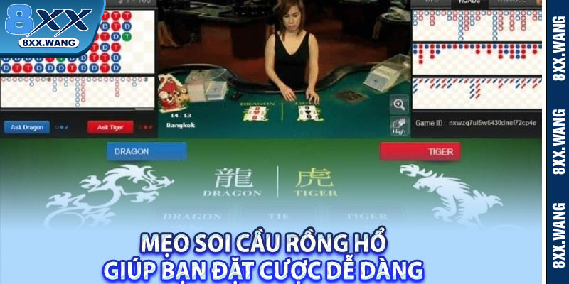 Mẹo soi cầu Rồng Hổ giúp bạn đặt cược dễ dàng 