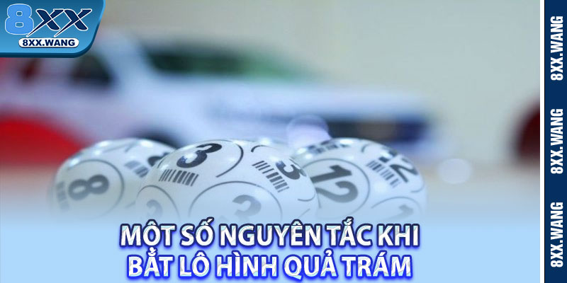 Một số nguyên tắc khi bắt lô hình quả trám 