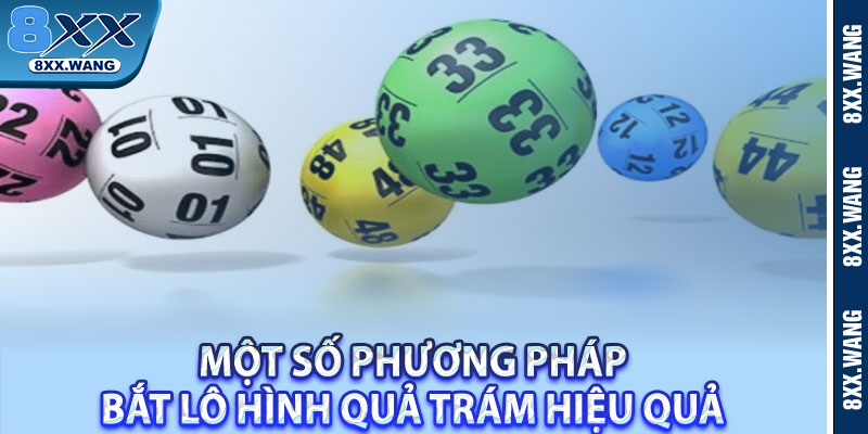 Một số phương pháp bắt lô hình quả trám hiệu quả 