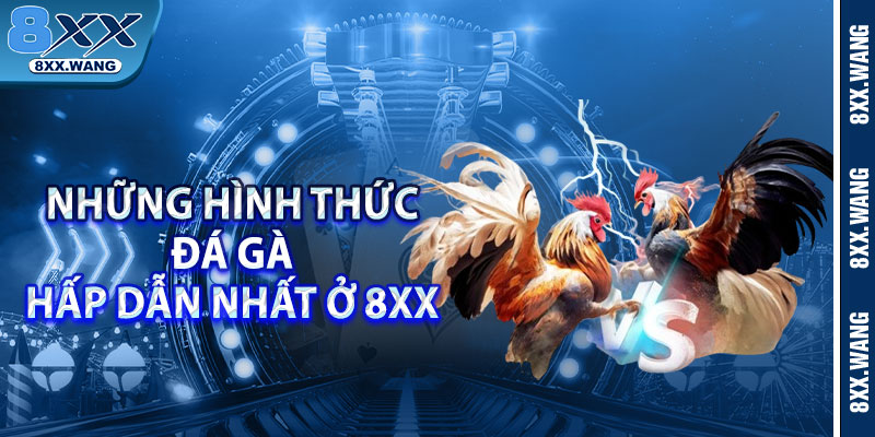 Những hình thức đá gà hấp dẫn nhất ở 8xx 