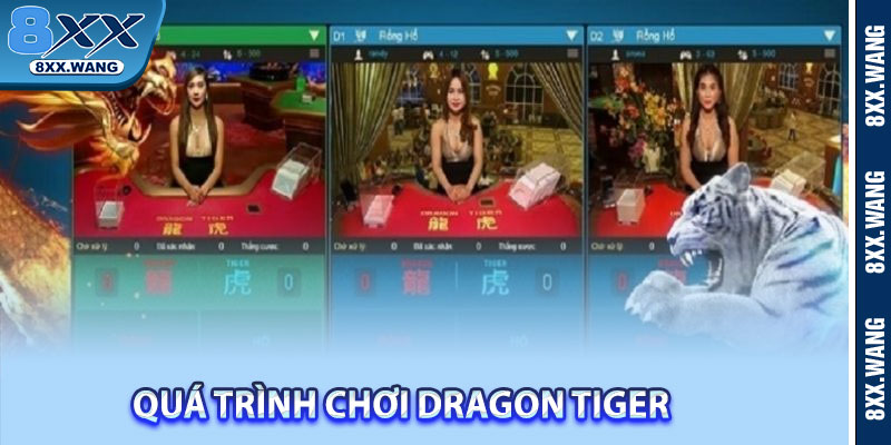 Quá trình chơi Dragon Tiger 
